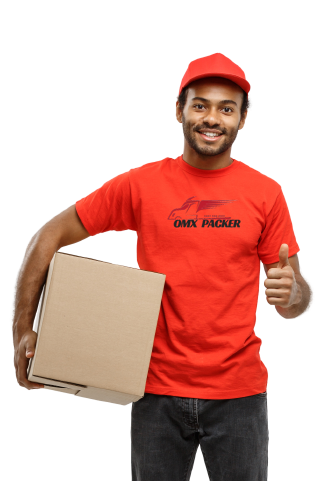 Professional Packers and Movers